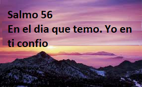 Resultado de imagen de cuidar de la creacion